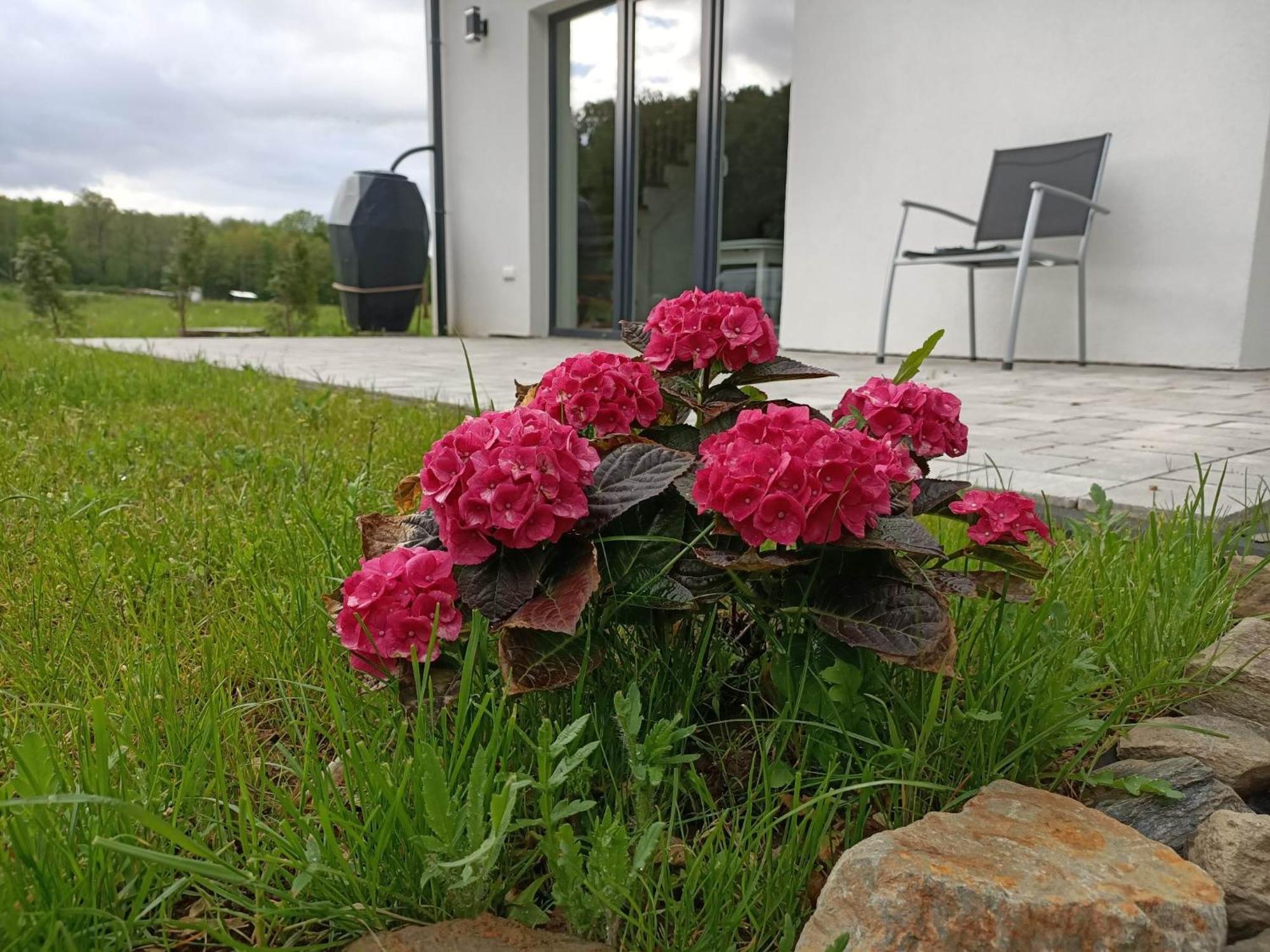 Villa Przystanek Pokrzywna Extérieur photo